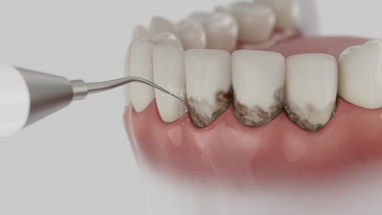 Reliable Dental contractor in Lansdowne, VA by Dentist Open Now